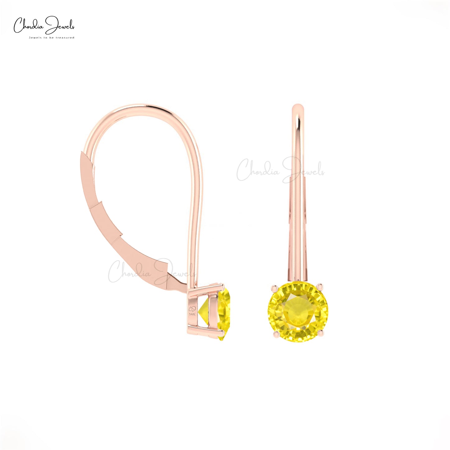 14k Solid Gold Earrings