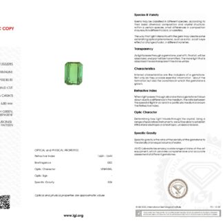 October Birthstone Green Tourmaline Octagon Cut AAA Grade Loose Gemstone for Making Rings, 1 Piece